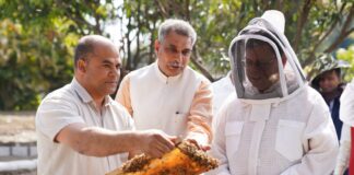 Department of horticulture