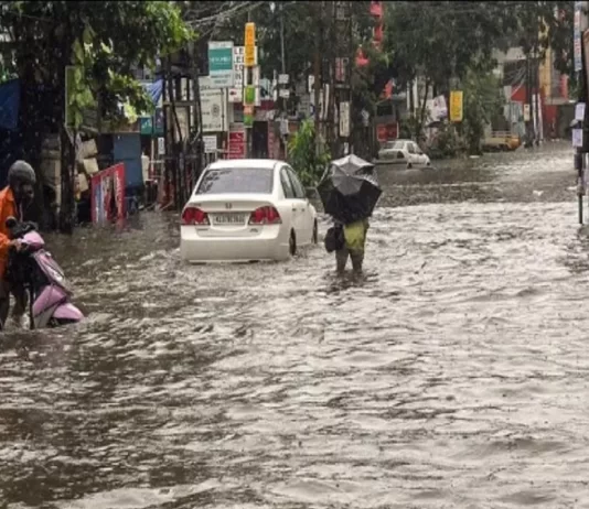 Rains Update