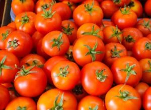 Tomato Price