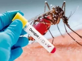 Dengue