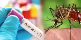 Dengue