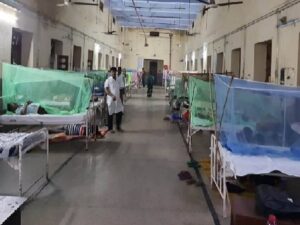 new-project Chikungunya