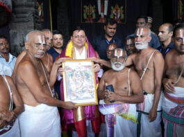 Parthasarathy Temple 
