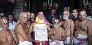 Parthasarathy Temple 