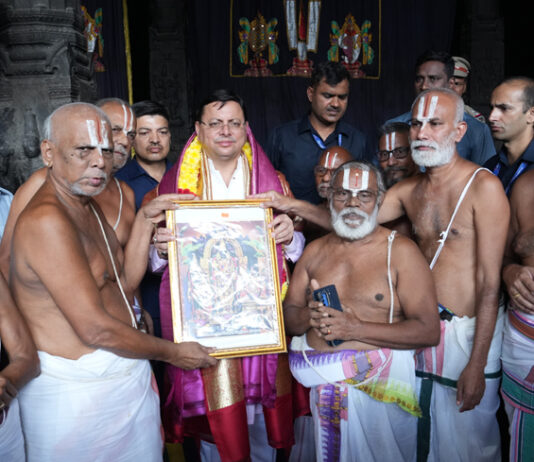 Parthasarathy Temple 