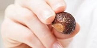 51BMti8VCsL._AC_UF350,350_QL80_