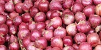 Onion Price Rise