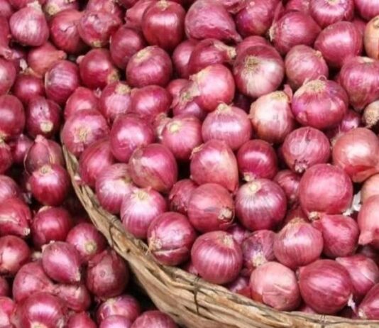 Onion Price Rise