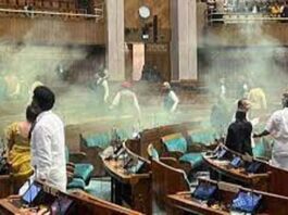 Parliament Security Breach