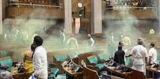 Parliament Security Breach