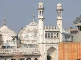 Gyanvapi Survey