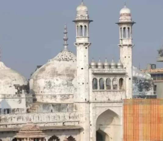 Gyanvapi Survey