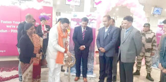 Dehradun-Pithoragarh Air Service