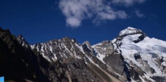 International Yoga Day