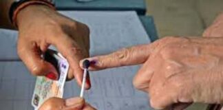 UP Lok Sabha Election Voting