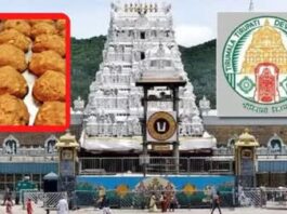 Tirupati Laddu Case