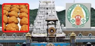 Tirupati Laddu Case