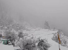 Snowfall In Uttarakhand