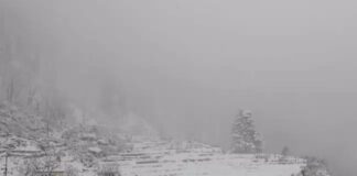 Snowfall In Uttarakhand