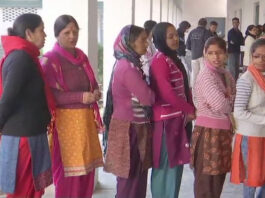 Uttarakhand Nikay Chunav 2024