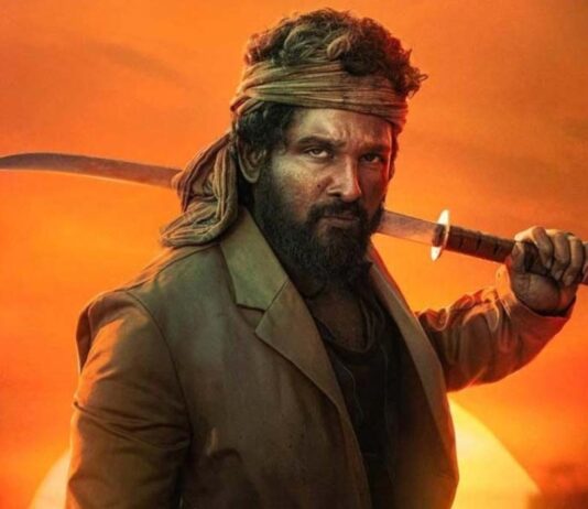 Pushpa 2 Worldwide Collection