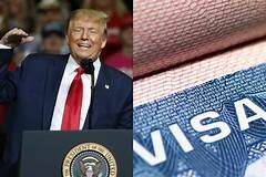 Trump on H-1B Visa 