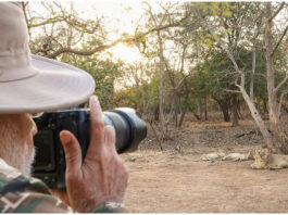 PM Modi Lion Safari