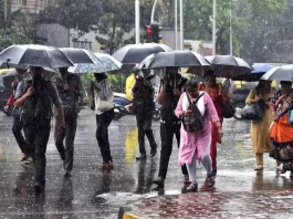 Weather News