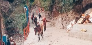 Chardham Yatra Temple