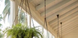23+ Unique Ideas for Unusual Hanging Baskets