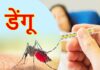 Dengue virus