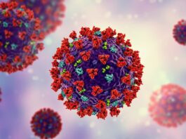 CoronaVirus