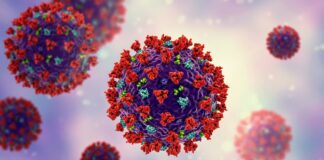 CoronaVirus