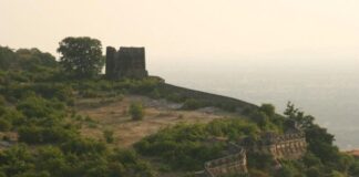 291d8ae2-56b3-4414-b72b-c3ee384e770c