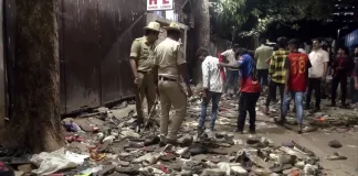 Bengaluru Stampede News