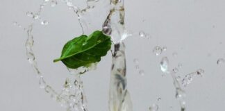 5 health benefits of drinking lemon water and honey in morning