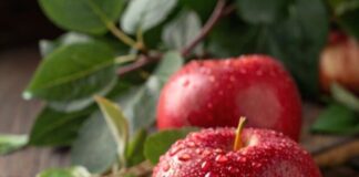 09d25842-4396-42dc-a3d9-8a91fb4e60f4