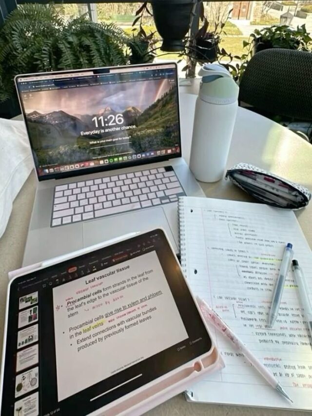 2e4d545f-79ad-4358-8f9e-8ef47e9e9eb7