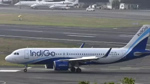 Indigo Flight