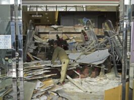 Japan Earthquake