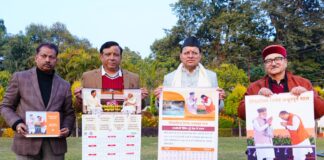 New Year 2026 Calendar