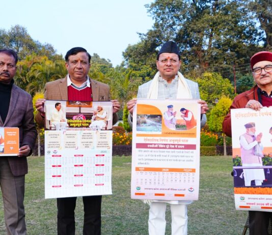 New Year 2026 Calendar