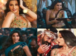 Sarke Chunariya Song Controversy