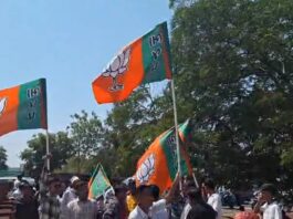 Gujarat Local Body Polls Result