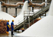 India Sugar Export Ban