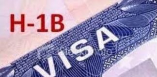 H1B VISA PLAN