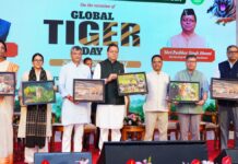 International Tiger Day