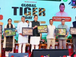 International Tiger Day