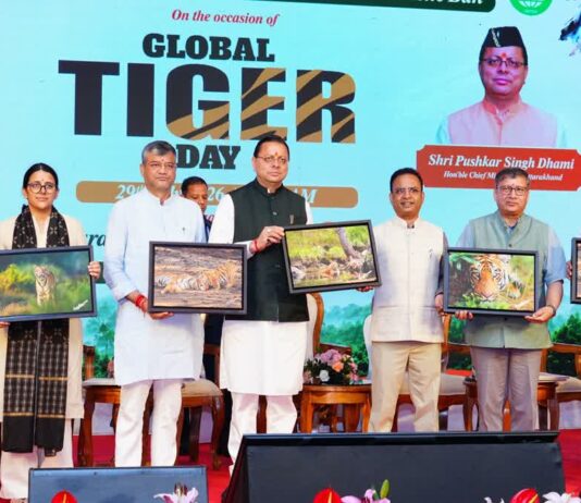 International Tiger Day